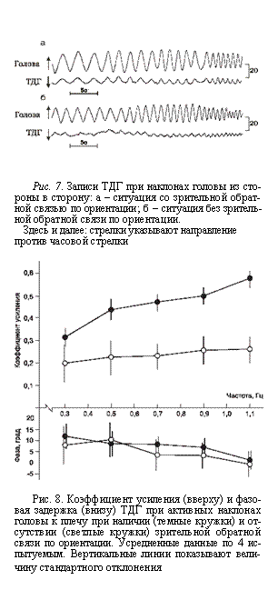 Подпись:  
Рис. 7. Записи ТДГ при наклонах головы из сто¬роны в сторону: а – ситуация со зрительной обрат¬ной связью по ориентации; б – ситуация без зритель¬ной обратной связи по ориентации.
Здесь и далее: стрелки указывают направление против часовой стрелки
 
Рис. 8. Коэффициент усиления (вверху) и фазо¬вая задержка (внизу) ТДГ при активных наклонах головы к плечу при наличии (темные кружки) и от¬сутствии (светлые кружки) зрительной обратной связи по ориентации. Усредненные данные по 4 ис¬пытуемым. Вертикальные линии показывают вели¬чину стандартного отклонения
