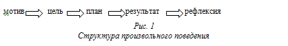 Рис.1. Структура произвольного поведения