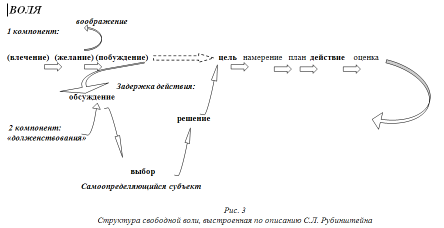 Рис.3. Структура свободной воли, выстроенная по описанию С.Л.Рубинштейна