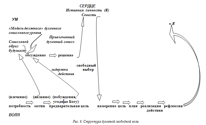 Рис.6. Структура духовной свободной воли